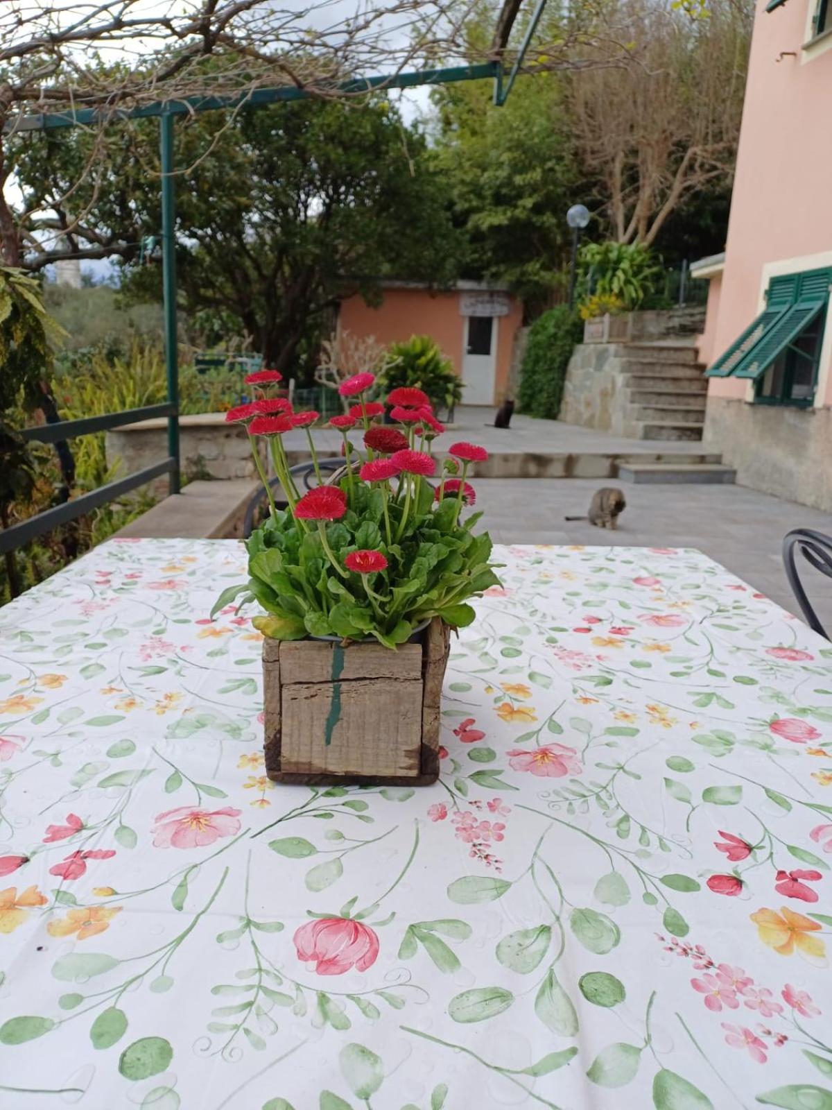 Villa Ca Du Stea Lavagna Exterior foto